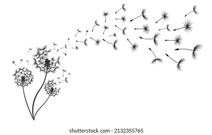 Hand drawn dandelion with flying seeds in cute doodle style on white background banner. Vector illustratin for fabric, card design, baby clothings, wall decor.
