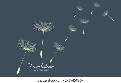 Hand drawn of dandelion, flying seeds of dandelion.Blowing dandelion vector