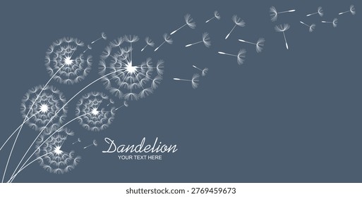 Hand drawn of dandelion, flying seeds of dandelion.Blowing dandelion vector
