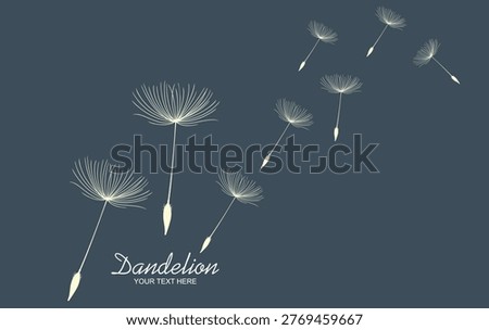 Hand drawn of dandelion, flying seeds of dandelion.Blowing dandelion vector