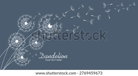 Hand drawn of dandelion, flying seeds of dandelion.Blowing dandelion vector