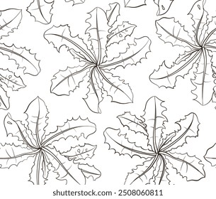 Hand drawn Dandelion leaves drawn as a seamless pattern in a pencil	

