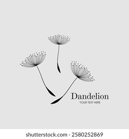 Hand drawn dandelion logo. Abstract floral summer posters, Creative vector illustration