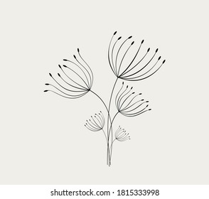Hand drawn  Dandelions on the background. Vector illustration