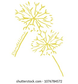 Hand drawn dandelions with text, yellow drawing vector