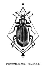 Hand drawn darkling beetle sketch. Vintage insects collection. Vector illustration for t-shirt design or tattoo. Bohemian art.