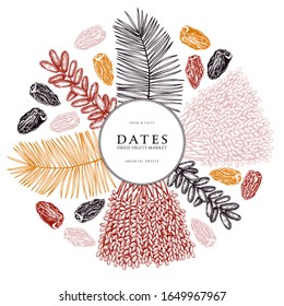 Hand drawn dates leaves, fresh and dried fruits, palm sketches wreath. Decorative dehydrated fruit in engraved style design. Oriental sweets vector illustration. Vintage dried dates packaging template