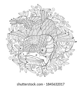 Hand drawn decorated cartoon catfish on the white background. Image for coloring page. Vector illustration