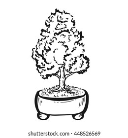 Hand drawn decorative asian bonsai tree in the pot with straight trunk.
