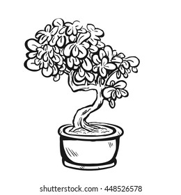 Hand drawn decorative asian bonsai tree in the pot with curved trunk and evergreen foliage.