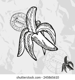 Hand drawn decorative banana fruits, design elements. Can be used for cards, invitations, gift wrap, print, scrapbooking. Kitchen theme