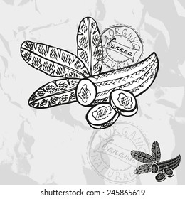 Hand drawn decorative banana fruits, design elements. Can be used for cards, invitations, gift wrap, print, scrapbooking. Kitchen theme