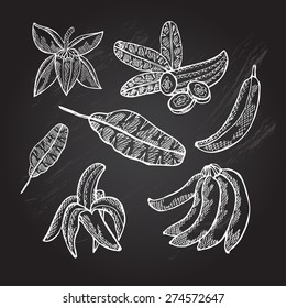 Hand drawn decorative banana fruits, design elements. Can be used for cards, invitations, gift wrap, print, scrapbooking. Kitchen theme. Chalkboard background