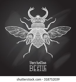 Hand drawn decorative beetle with ornament on chalkboard vector illustration