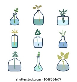 Hand drawn decorative bottles with branches set. Botanical decor collection. Minimalistic design elements for prints, posters, patterns. Vector vintage illustration.