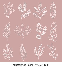 Ramas decorativas dibujadas a mano conjunto ilustración vectorial.