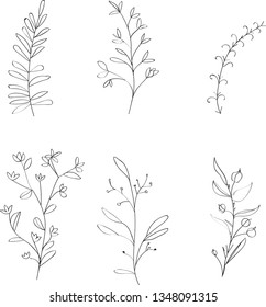 Hand Drawn decorative branches .Vector botanical design illustration.Herbal elements.