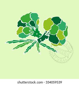 Hand drawn decorative broccoli, design elements. Can be used for cards, invitations, gift wrap, print, scrapbooking. Kitchen theme