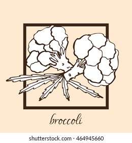 Hand drawn decorative broccoli, design elements. Can be used for cards, invitations, gift wrap, print, scrapbooking, food menu, labels. Vegetable background. Food theme