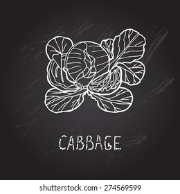 Hand drawn decorative cabbage, design elements. Can be used for cards, invitations, gift wrap, print, scrapbooking. Kitchen theme. Chalkboard background