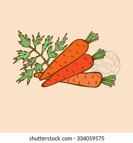 Hand drawn decorative carrots, design elements. Can be used for cards, invitations, gift wrap, print, scrapbooking. Kitchen theme