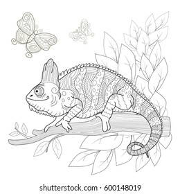 Hand drawn decorative chameleon is sitting on a tree branch. Near the butterflies fly. Antistress Coloring Page with high details, isolated on pattern background, illustration in zentangle style.