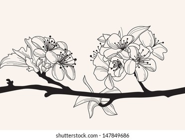 hand drawn decorative cherry blossom, design element