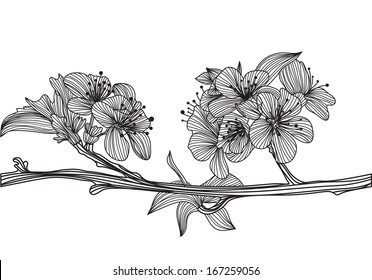 hand drawn decorative cherry blossom, design element