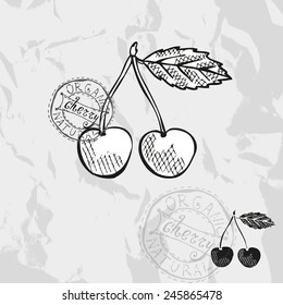 Hand drawn decorative cherry fruits, design elements. Can be used for cards, invitations, gift wrap, print, scrapbooking. Kitchen theme