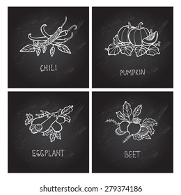 Hand drawn decorative chili pepper, pumpkin, eggplant, beet, design elements. Can be used for cards, invitations, gift wrap, print, scrapbooking. Kitchen theme. Chalkboard background. Sketch