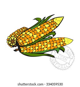 Hand drawn decorative corns, design elements. Can be used for cards, invitations, gift wrap, print, scrapbooking. Kitchen theme