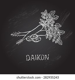 Hand drawn decorative daikon, design element. Can be used for cards, invitations, gift wrap, print, scrapbooking. Kitchen theme. Chalkboard background. Sketch
