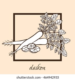 Hand drawn decorative daikon, design elements. Can be used for cards, invitations, gift wrap, print, scrapbooking, food menu, labels. Vegetable background. Food theme