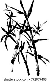 Hand drawn decorative element/ Bamboo in chinese style. Isolated on white background