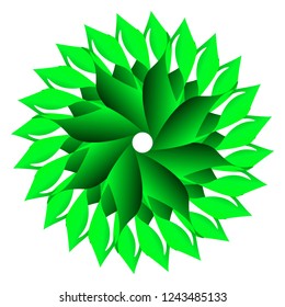 Hand drawn decorative element.  Vector ornament. Round floral pattern. 