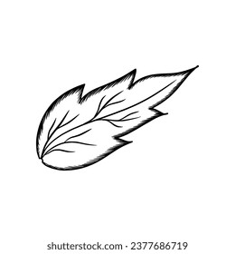 elementos decorativos dibujados a mano de la hoja sobre la ilustración vectorial de fondo blanco