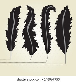 hand drawn decorative feathers, design elements