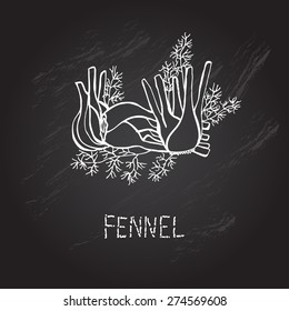 Hand drawn decorative fennel, design elements. Can be used for cards, invitations, gift wrap, print, scrapbooking. Kitchen theme. Chalkboard background