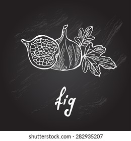 Hand drawn decorative fig, design element. Can be used for cards, invitations, gift wrap, print, scrapbooking. Kitchen theme. Chalkboard background. Sketch