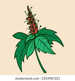 hand drawn decorative floral branch and minimalist leaves for logo or tattoo. Hand drawn line wedding herb, elegant wildflowers. Minimal line art drawing for print, cover or wallpaper