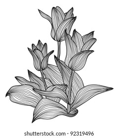 hand drawn decorative floral element for your design