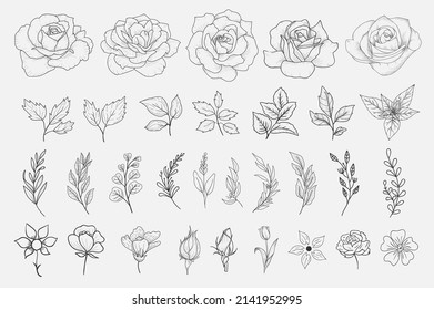Hand Drawn Decorative Floral Elements