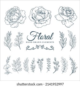 Elementos florales decorativos dibujados a mano