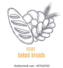 Hand drawn decorative fresh bread bakery . Vector Illustration.