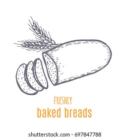 Hand drawn decorative fresh bread bakery . Vector Illustration.