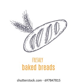Hand drawn decorative fresh bread bakery . Vector Illustration.