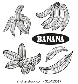Hand drawn decorative fruits, banana,design elements. Can be used for cards, invitations, gift wrap, print, scrapbooking. Kitchen theme. Chalkboard background