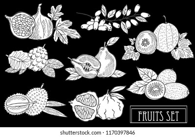 Hand drawn decorative fruits set, design elements. Can be used for cards, invitations, scrapbooking, print, manufacturing. Food, kitchen theme. Line art style