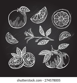 Hand drawn decorative grapefruits, design elements. Can be used for cards, invitations, gift wrap, print, scrapbooking. Kitchen theme. Chalkboard background