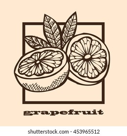 Hand drawn decorative grapefruits, design elements. Can be used for cards, invitations, scrapbooking, print, manufacturing. Fruit theme. Fruit sketch